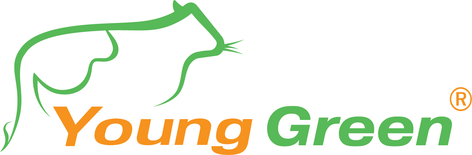 Youngstand